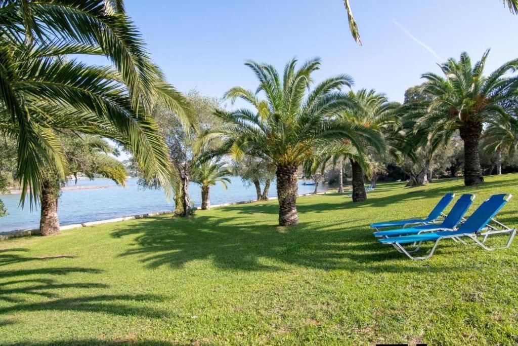 Palm Tree Corfu Apt. Δανίλια Εξωτερικό φωτογραφία